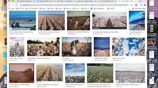 Cara Menyimpan Gambar dari Google