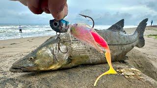 Pesca de RÓBALOS en BOCA de un RÍO  pesca de PLAYA  BAILARINA PLUMERO.