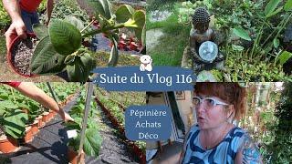 Suite du VLOG 116 Un tour en pépinière  Mes achats en jardinerie  Une jolie déco pour le jardin