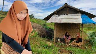 Gadis Desa Sukabumi IDAMAN Cantik dan Pandai Masak. Ngeliwet Di Saung Sawah Pedesaan Sunda