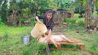 SLAUGHTERING A Pig  Miss Shirly