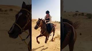 Dubai desert horse riding #horseriding #horselover #equestrian
