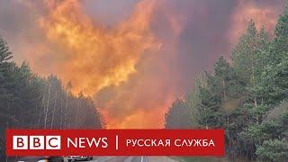 Пожары в России горит минимум 60 тысяч гектаров леса