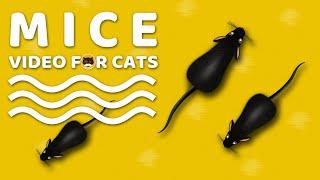 CAT GAMES - Mice. Mouse Sounds Video for Cats  CAT & DOG TV.