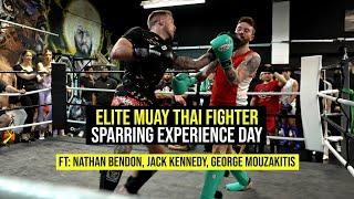 Elite Muay Thai Fighter Sparring Experience Day