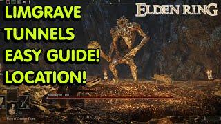 Elden Ring  Stonedigger Troll Boss EASY Guide  Limgrave Tunnels Guide