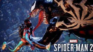 Stopping Black On Black Violence  Spider - Man 2 Finale - Part 2