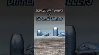 How Bullets Create Ethical Killshots Hydrostatic Shock & Hollowpoints