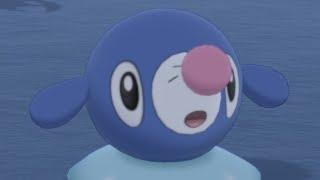 Popplio is the cutest Pokémon to ever exist