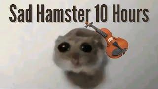 Sad Hamster Violin 10 Hours