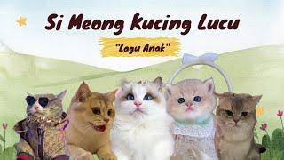 Si Meong Kucing LucuLagu anak populer