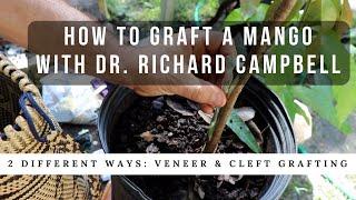 How to Graft a Mango Tree w Dr. Richard Campbell