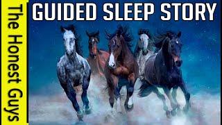 The Land of The Horses Guided Sleep Story Dreamweaver Series