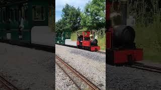 Single Line Running #short #steamengine #steamtrain #train #miniaturerailway #railway #shortvideo