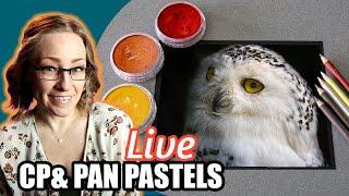 Snow Owl Colored Pencil & Pan Pastels - LIVE