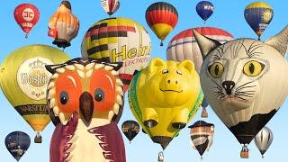 Hot Air Balloon Mass Ascent  Balloon Festival Barnstorf 2019