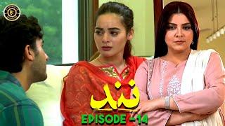 Nand Episode 14  Minal Khan & Shehroz Sabzwari  Top Pakistani Drama