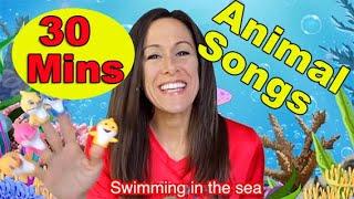 Animal Songs for Children Babies Toddlers and Kids by Patty Shukla Learn Counting Math 30 Minutes