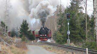 Die Harzer Schmalspurbahn im Frühling 2024  von Wernigerode zum Brocken
