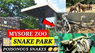 Snakes in Mysore Zoo   poisonous snakes  Mysore zoo  places to visit in Mysore  Mysore