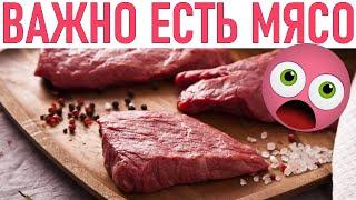 ПОЛЬЗА МЯСА  Почему важно есть мясо каждый день