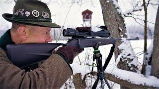 Первая охота на зубра в Красном Бору. Охота в Беларуси.
