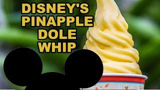 Disneys Pineapple Dole Whip - RIPOFF RECIPE