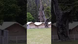 @dekhboebarjagat1023 #shortvideo #travelvlog # kashmir