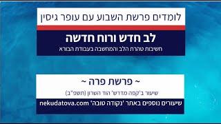 לב חדש ורוח חדשה  פרשת פרה   עופר גיסין