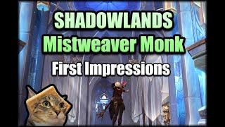 How Does Mistweaver Monk Feel in Shadowlands Beta?