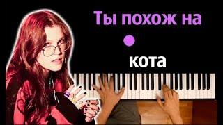  Хит TIkTok  zhanulka - ты похож на кота ● караоке  PIANO_KARAOKE ● ᴴᴰ + НОТЫ & MIDI