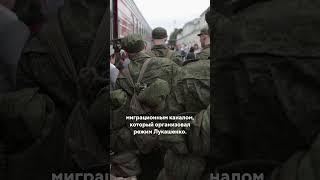 Российский беглец  Специальные новости #польша #беларусь #граница