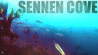 Wreck Diving and hunting Bass in Sennen Cove. Spearfishing UK