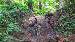 独自在雨林野外生存，原始生存技能