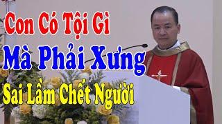 CON CÓ TỘI GÌ MÀ PHẢI XƯNG... - Bài Giảng Mới Thức Tỉnh Người Nghe Của Lm Phạm Tĩnh