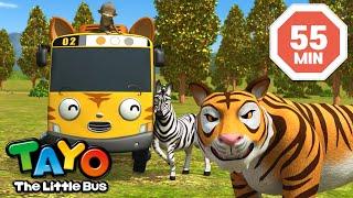 Tayo Episode & Song  I Love Animals  A Safari Adventure  Tayo Episode Club