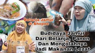 Budidaya Jamur Merang Belanja Shopee