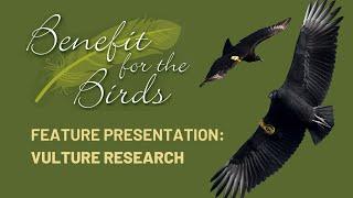 Live Benefit for the Birds Presentation Vulture Research