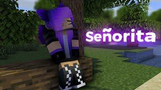 Señorita - Short Minecraft animation