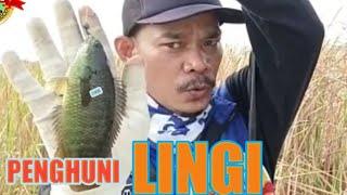 FISHING IN SPOT LINGI - BHORAY CHANNEL