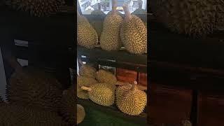 你敢吃durian吗？#shorts #durian