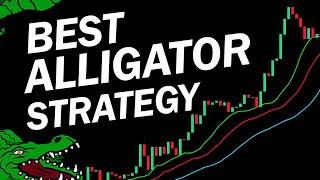 BEST Williams Alligator Strategy for Daytrading Forex