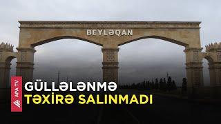 Beyləqanda mübahisə zamanı silahla atəş açıldı – APA TV