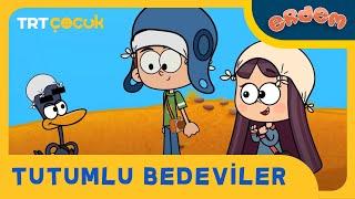 Erdem  Tutumlu Bedeviler