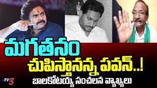 మగతనం చుపిస్తానన్న పవన్.. Balakotaiah SENSATIONAL Comments  AP Politics  Pawankalyan  TV5