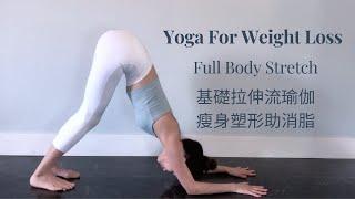 基礎拉伸流瑜伽  瘦身塑形 有助消脂  15 Min Full Body Stretch  Yoga For Weight Loss