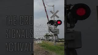 Railroad Crossing Malfunction Gate Going Up and Down #shorts