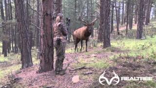 15-Yard Files Female Bowhunter Stares Down Giant Bull Elk at 4 Yards