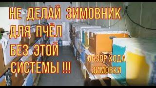 Никогда не делайте зимовник для пчёл без такой системы. Обзор хода зимовки.
