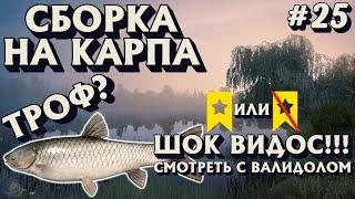 Аккаунт доночника #25  Сборка на карпа  и сразу ТРОФ?  оз. Медвежье  Русская Рыбалка 4